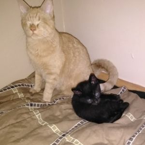 Meet your Posher, Leah